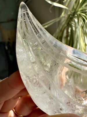 ブラジル産レムリアンシードトラベラースカル