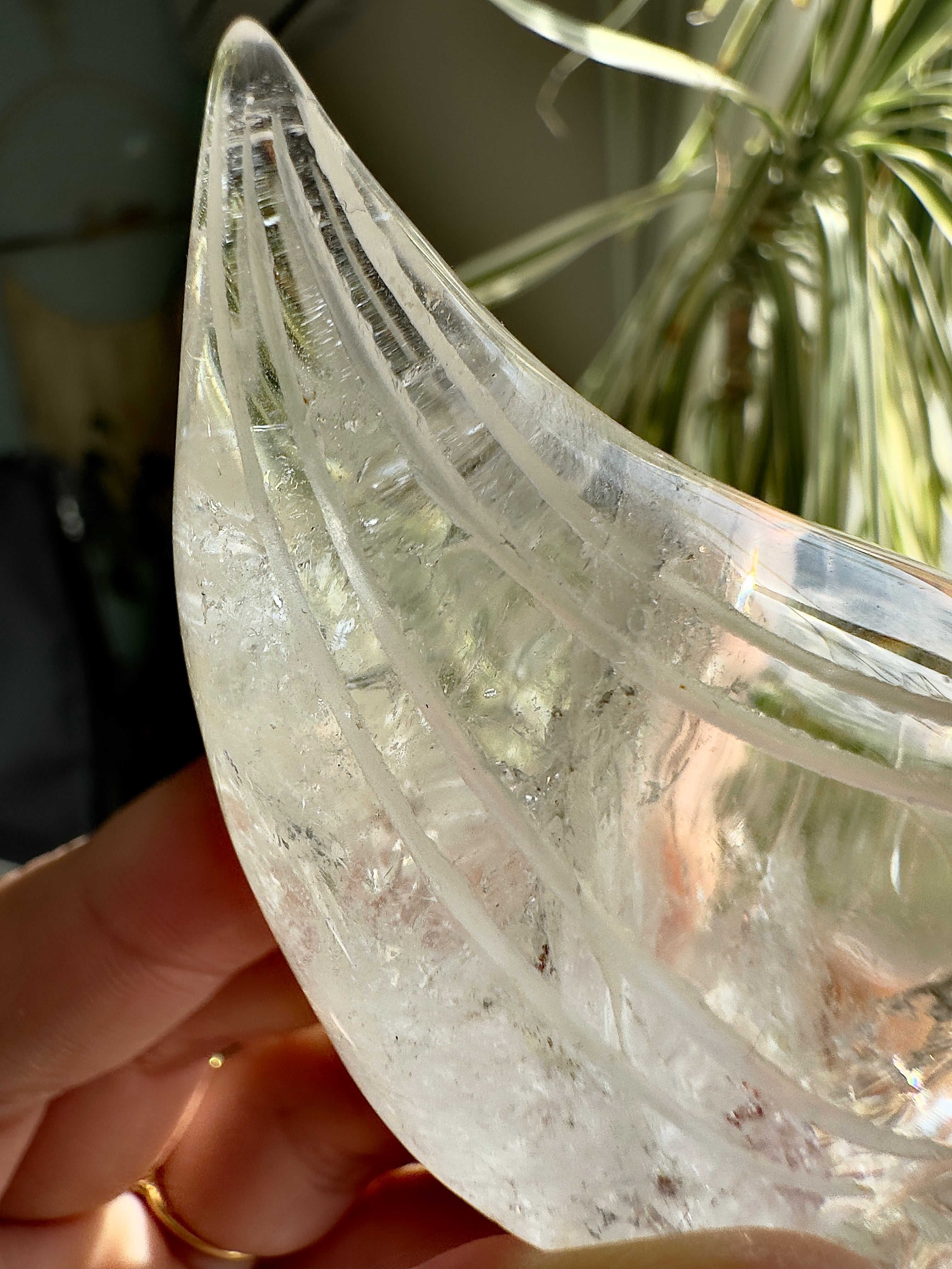 ブラジル産レムリアンシードトラベラースカル