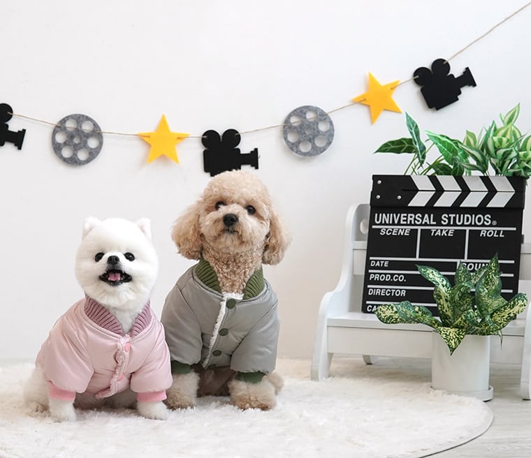 【SALE】トレンディーブルゾン S ~ XL 2color / 犬服 秋冬 新作 アウター ダウン ジャケット ドッグウェア 犬の服 ペット ワンコ服 暖かい 裏起毛 ボア 小型犬 outer27
