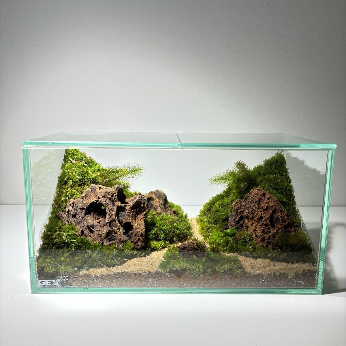 コケリウム 200LOW