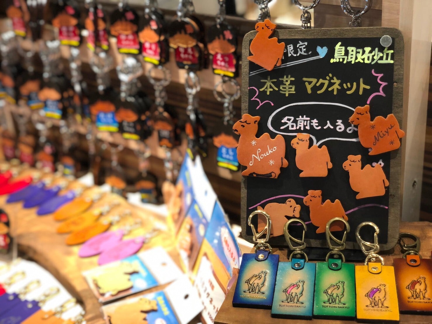 名入れ】らくだマグネット（大） | 鳥取砂丘のお土産ショップ