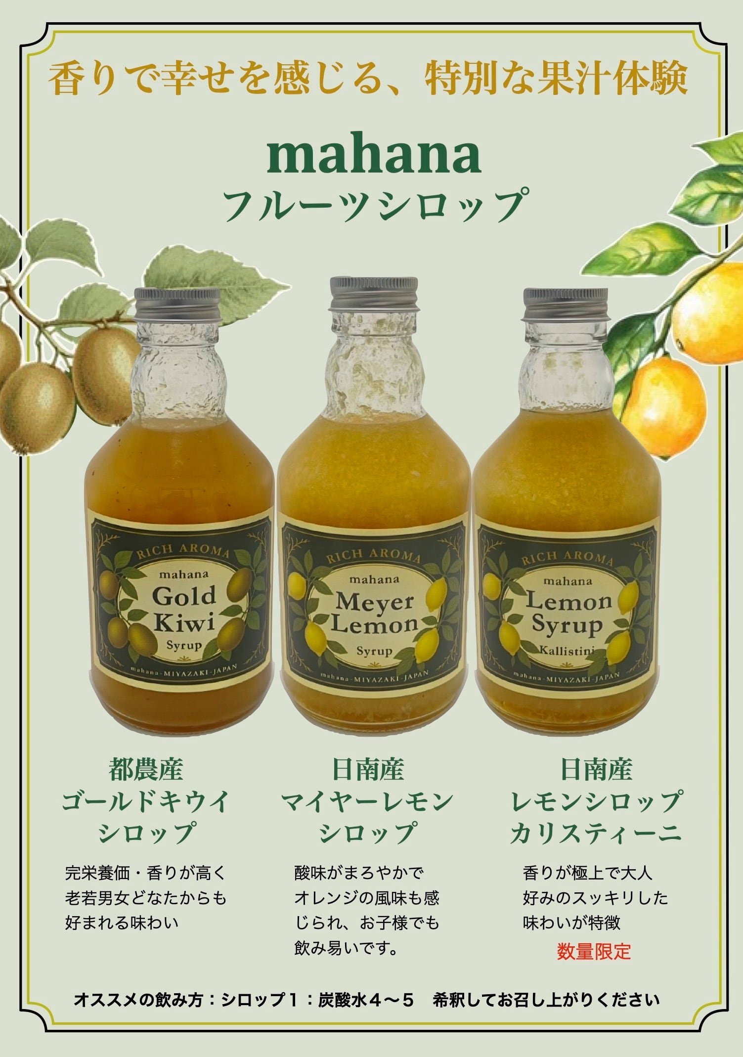 マイヤーレモンシロップ | mahana shop