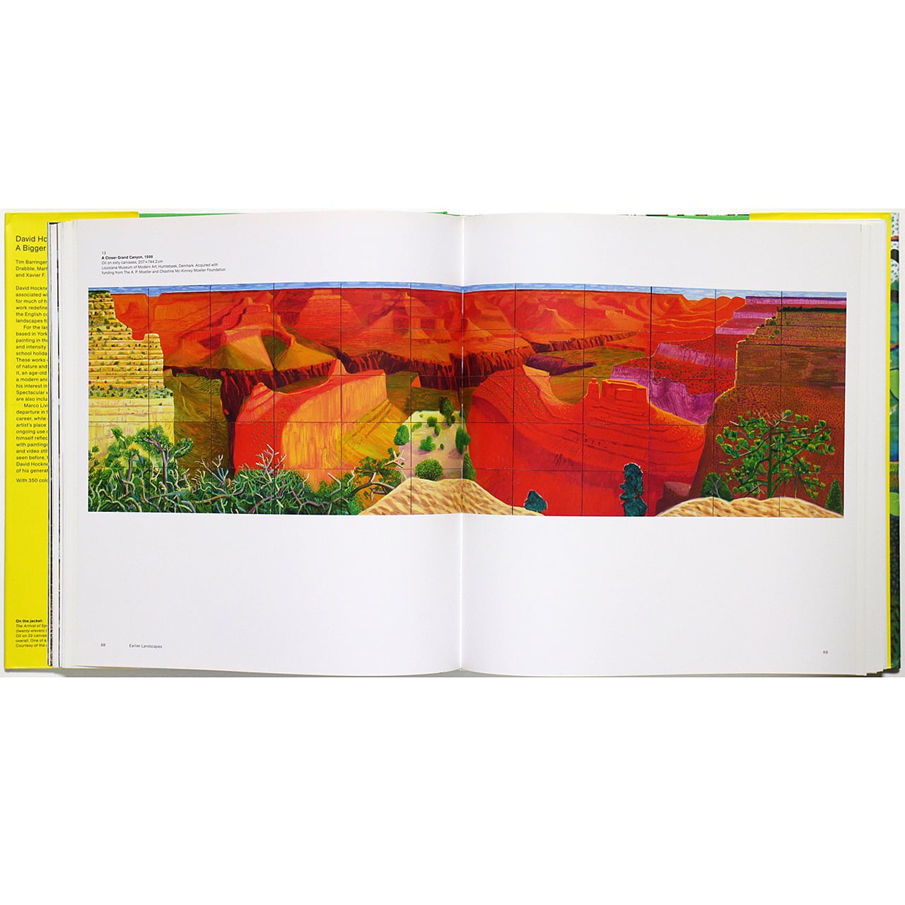 David Hockney: A Bigger Picture デイヴィッド・ホックニー：ザ