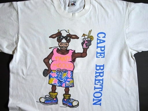 70's CHAMPION チャンピオン NOTRE DAME ヴィンテージ フットボール T