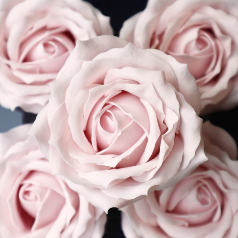 クイーンバラQ-P3 ベビーピンク(9輪入り)