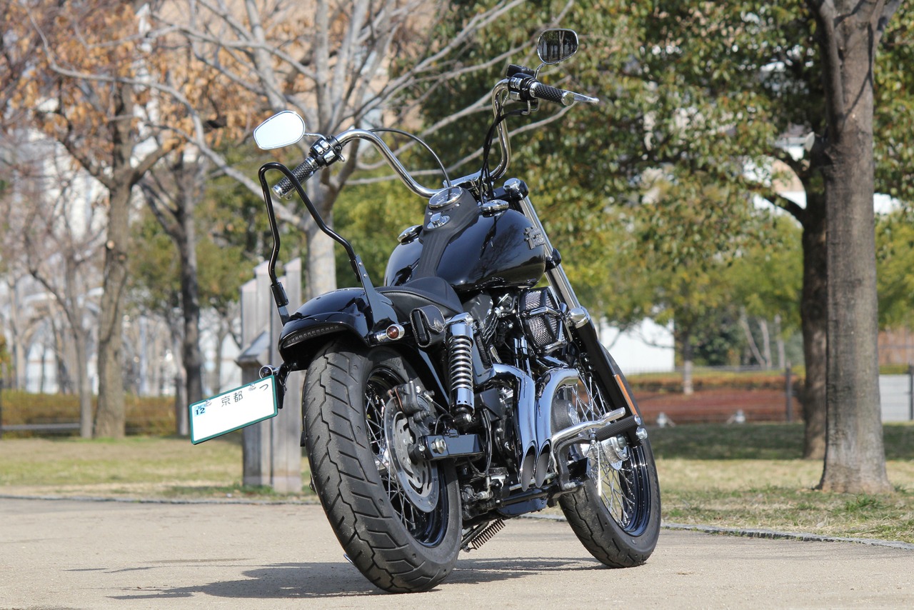 ShortRib Fender DYNA