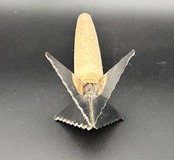昆虫ゼリー十字カッター（フタ切り目カッター）