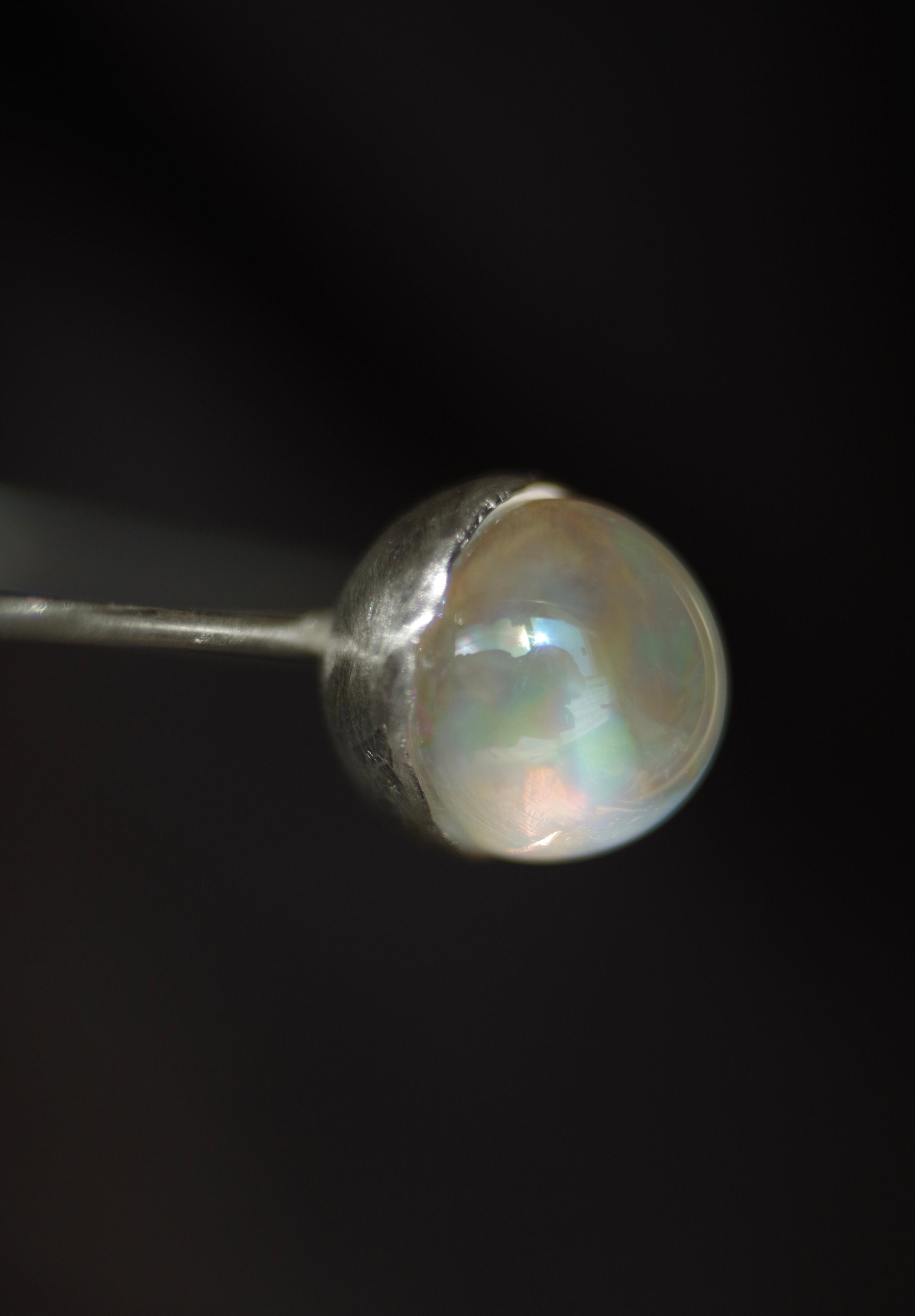 Perle | ambervacance