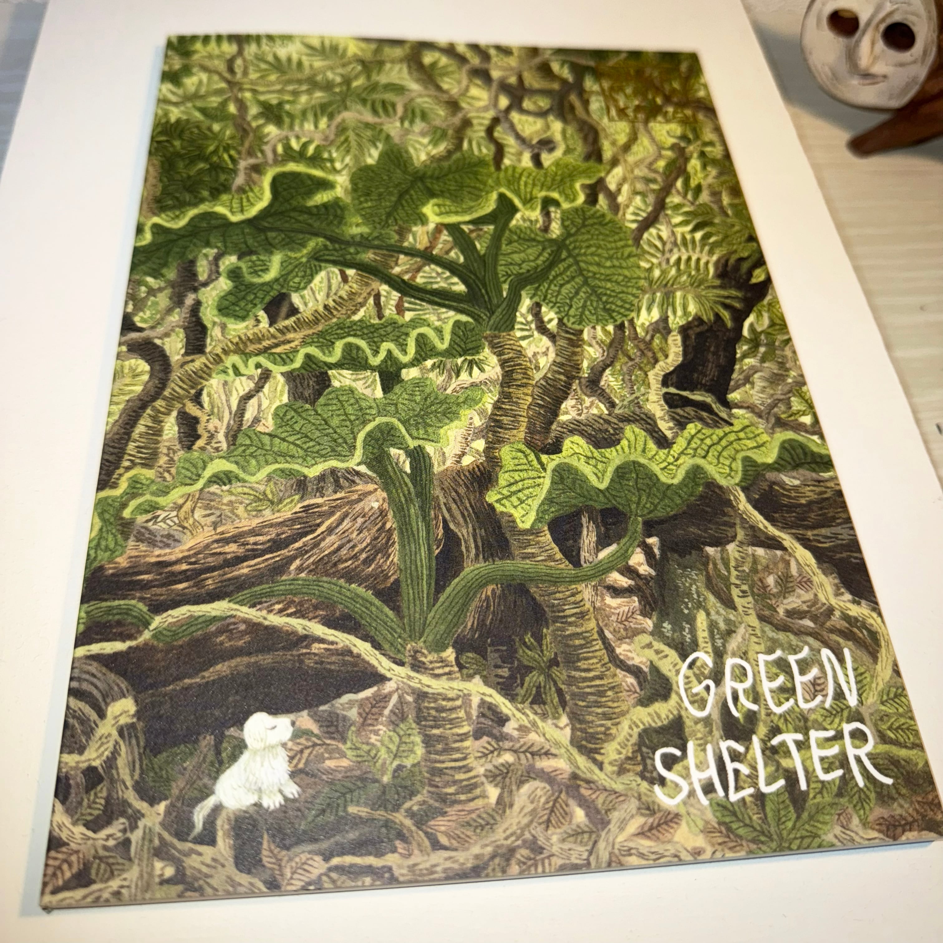 GREEN SHELTER | NAKAMURA IPPAN STORE