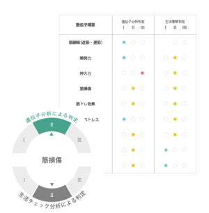 遺伝子分析＋オンライン運動カウンセリング（ZOOM）