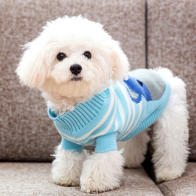 犬服 猫服 ペット服 くまちゃんボーダーセーター:XXL