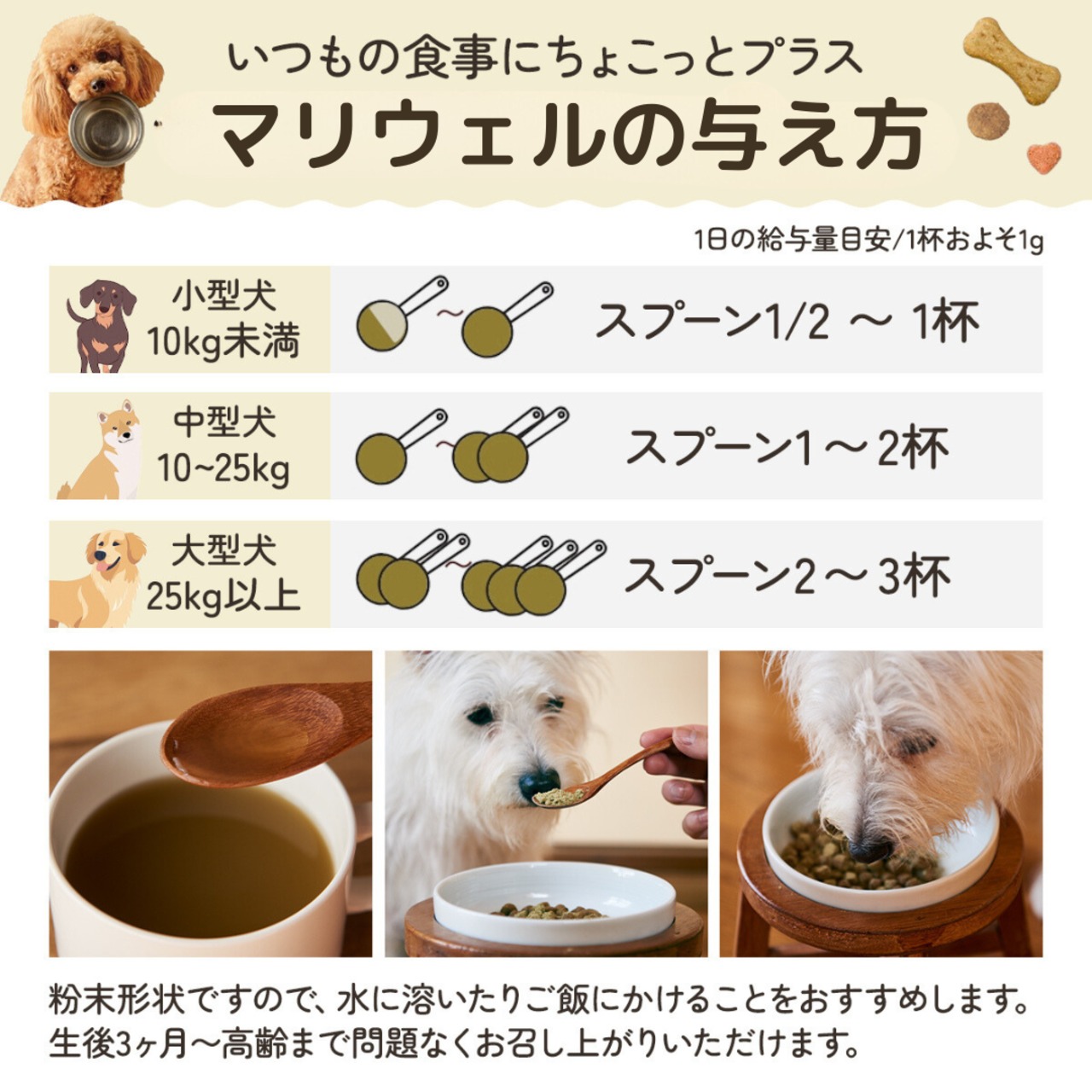 免疫ケア Mariwell マリウェルプレーン 30g【海藻＆納豆】