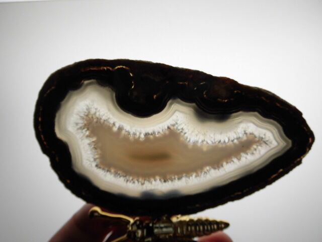 【瑪瑙】　ゴージャス蝶々　no.3