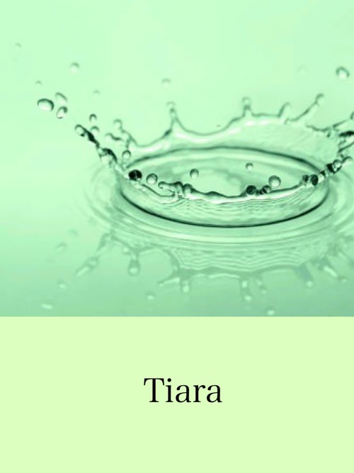 Tiara 20TB缶