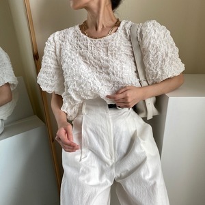 トップス レディース 送料無料 2色 シャツ ブラウス クロップトップ ショート丈 半袖 襟なし クルーネック パフスリーブ フリル シワ加工 ゆったり 透け感 抜け感 こなれ感 シック クール かっこいい 個性的 華やか 派手 無地 春 春服 春物 秋 秋服 秋物 10代 20代 普段使い 重ね着 着回し おしゃれ お洒落 ラフ カジュアル 前開き シルバー 銀 ブラック 黒 グレー 灰色 涼し 通気性 薄手 ポリエステル シフォン シフォンシャツ ワイド 存在感 モード系 エキゾチック デート