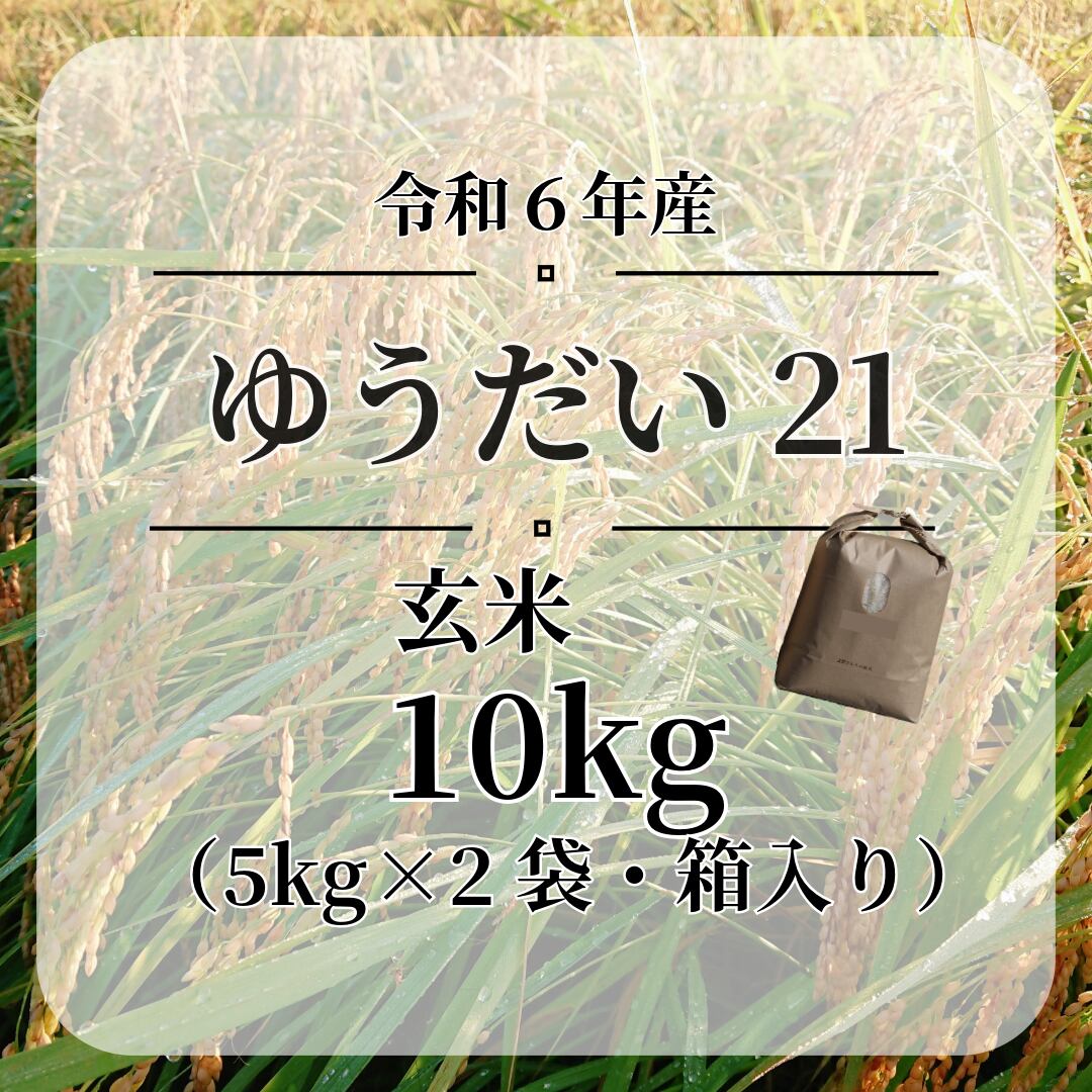 高知産乾燥天然ぜんまい 1Kg中～大令和6年産