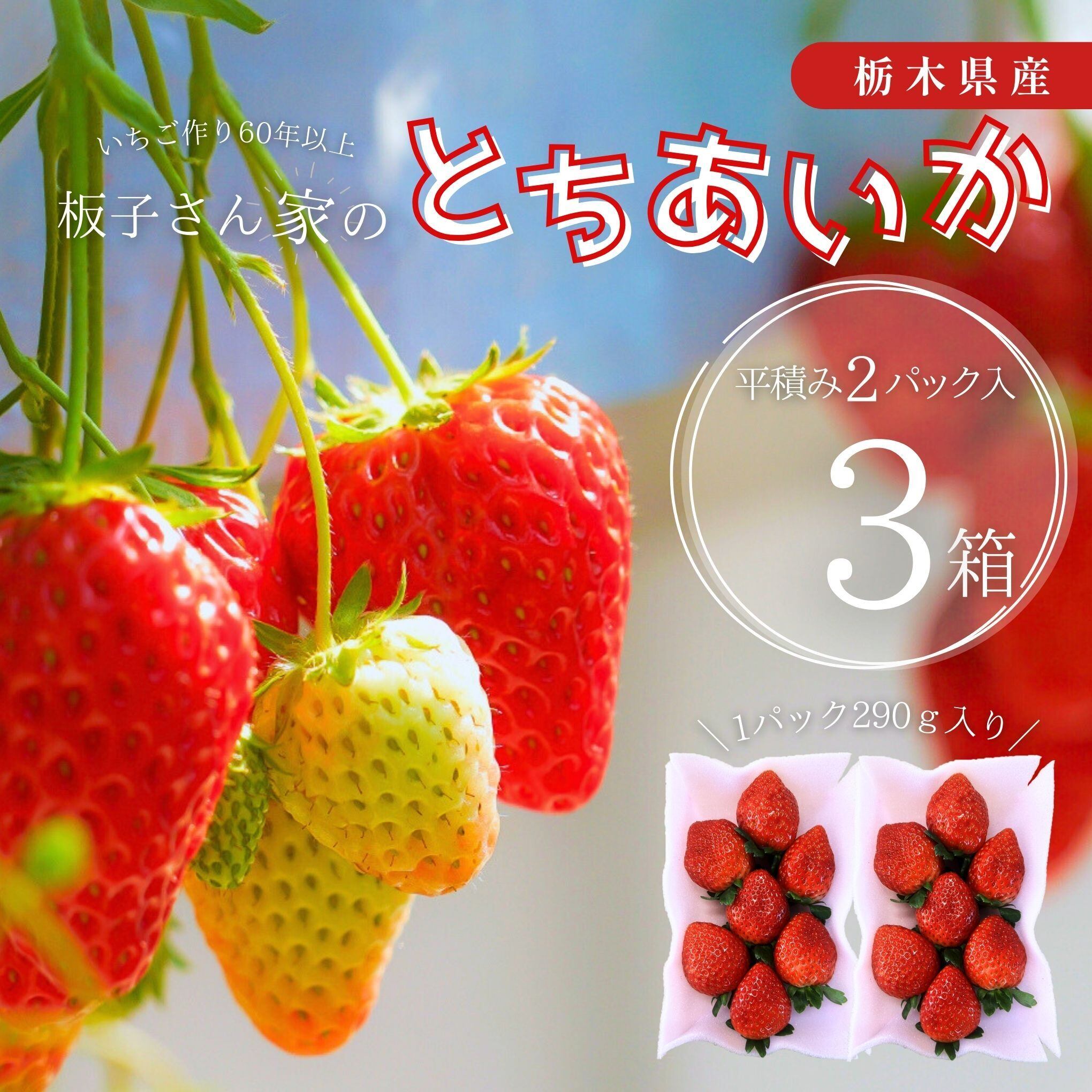 とちあいか（平積み2パック）1箱 | 板子いちご園｜産直通販「あるよ