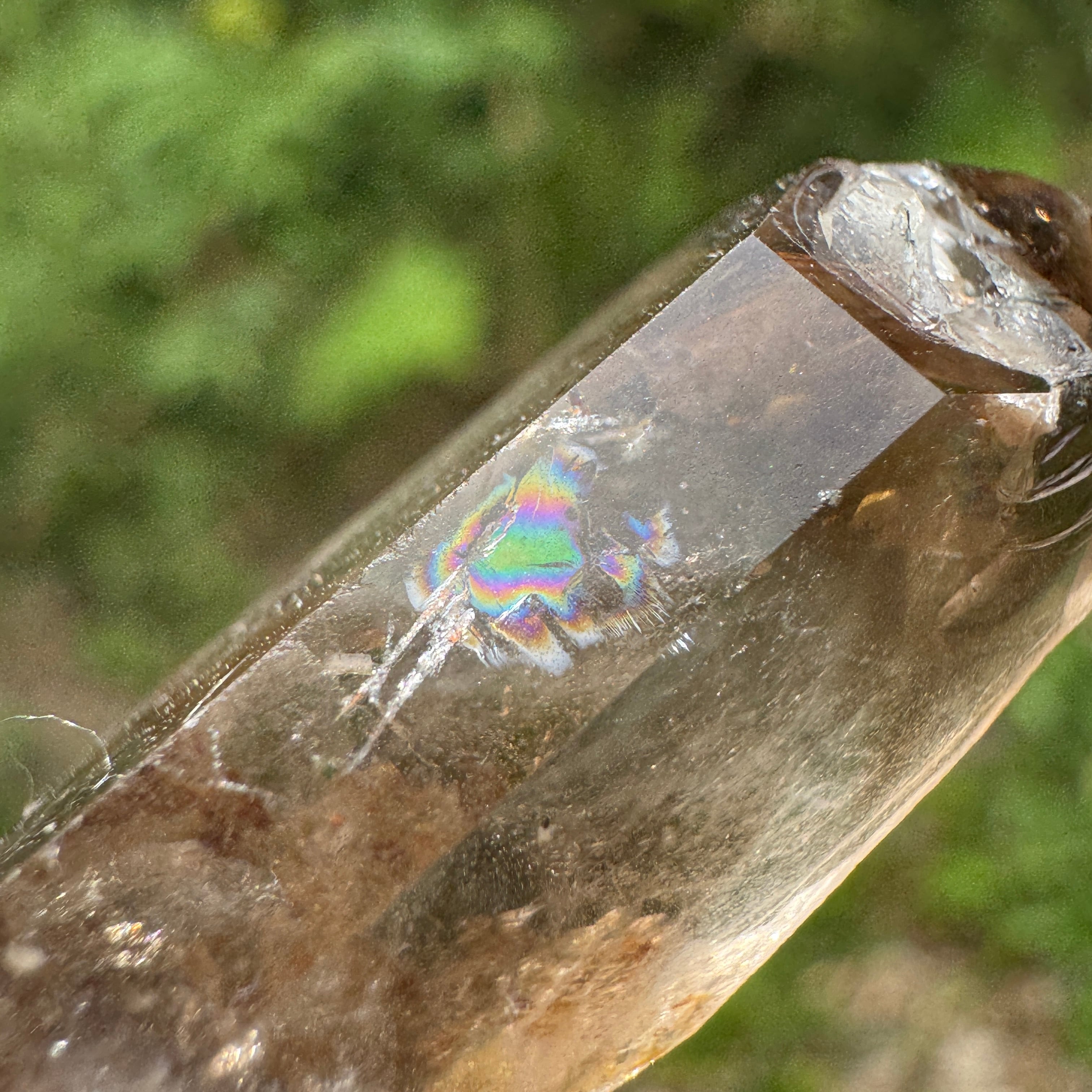 マラウィ産 スモーキークォーツクラスター