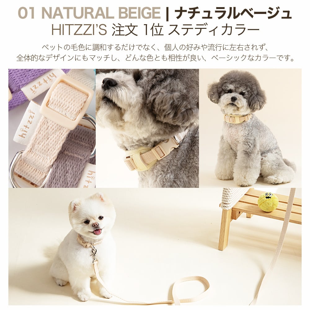 Collar 首輪 | anpi