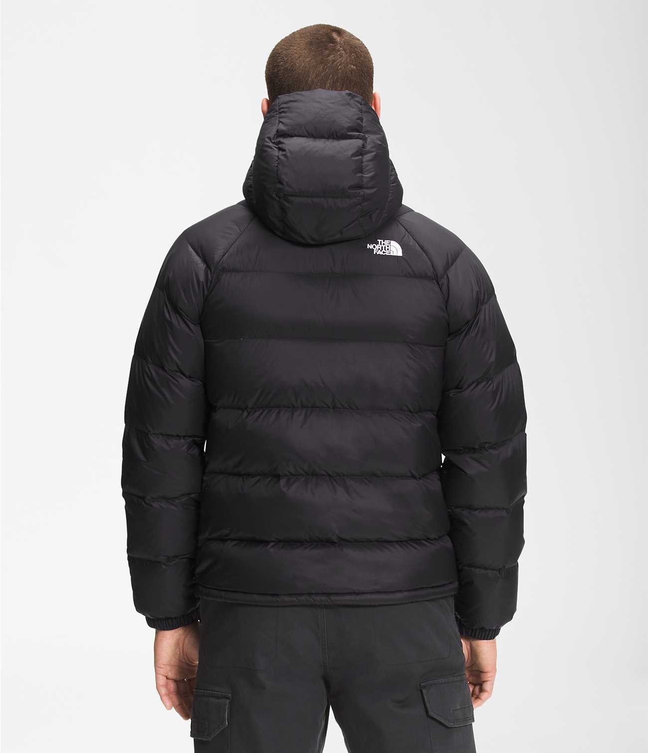 The North Face Hydrenalite Down Hoodie ノースフェイス