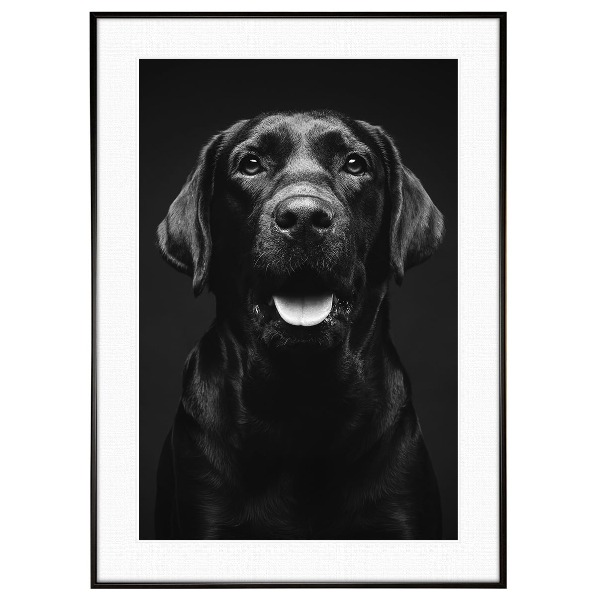 動物写真 犬 パグ インテリア モノクロアートポスター額装 AS1894