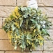 Mimosa wreath 