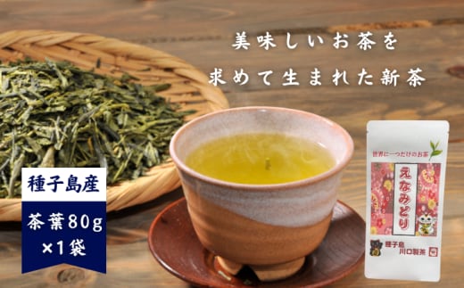 種子島 川口製茶 新茶 浅蒸『えなみどり』当園オリジナル希少品種