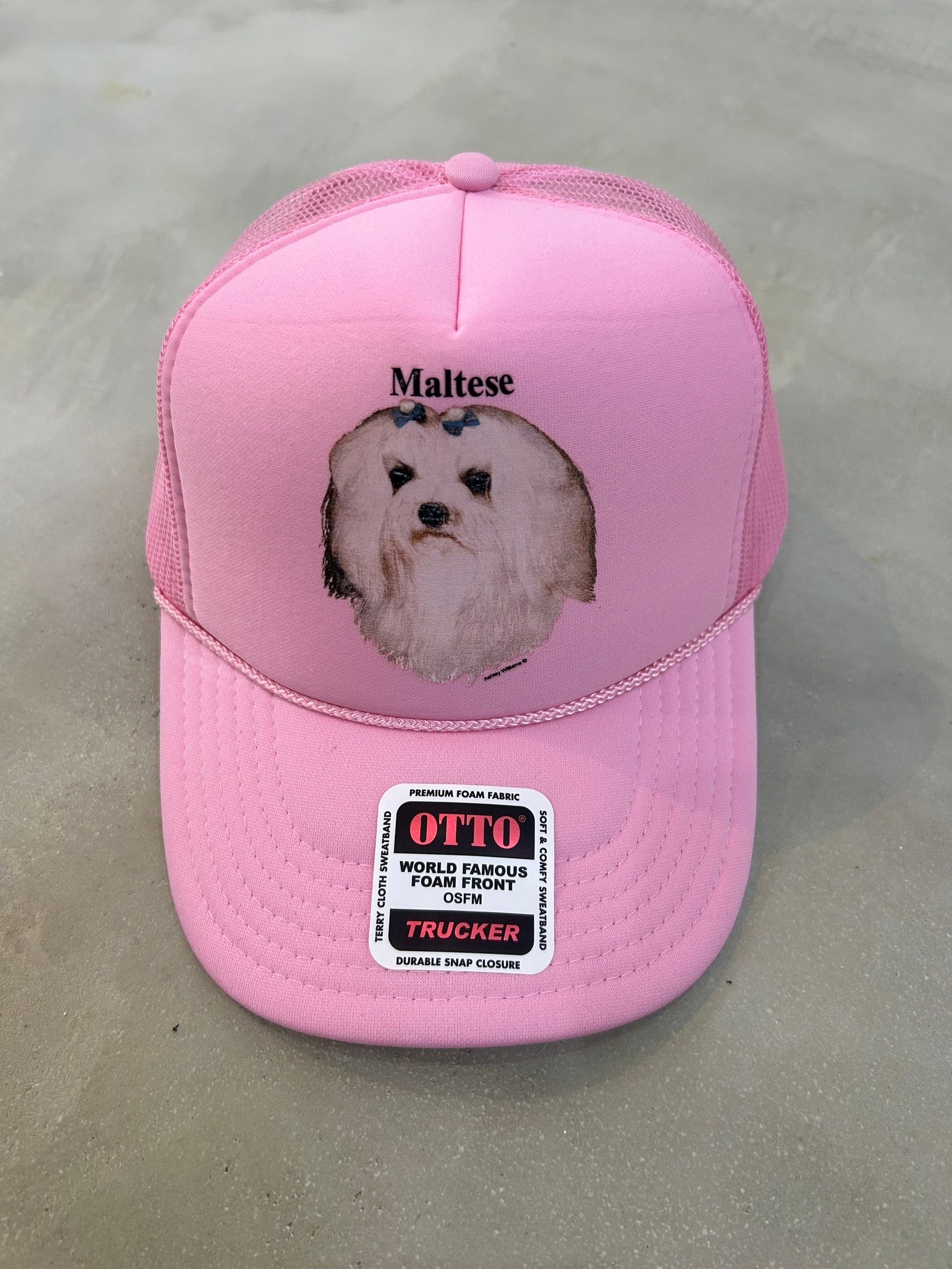 Ashley WILLIAMS cap