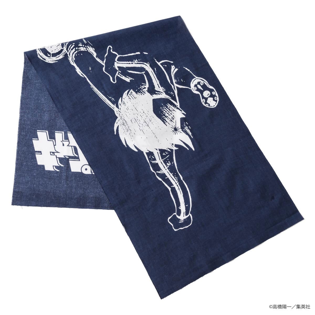 最終価格　キャプテン翼 キャンバスパネル キャプテン翼』キャンバスパネル（036） | キャプテン翼公式