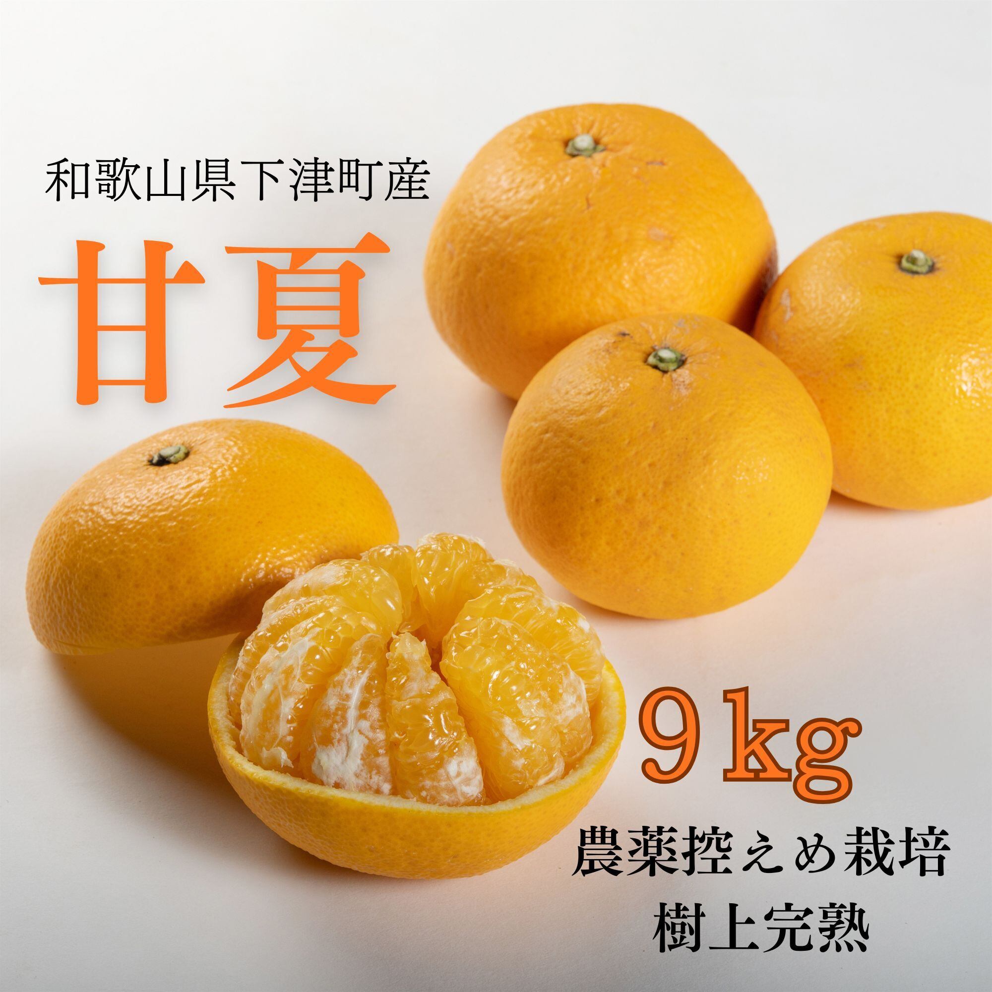 蔵出しみかん農家直売・通販のまごころ産直みかん オンラインショップ