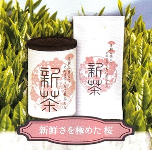 予約新茶　桜