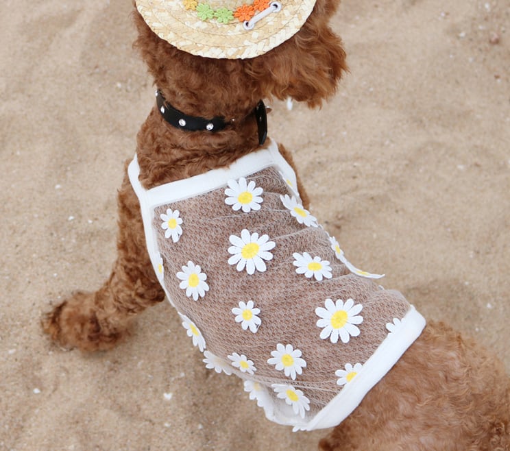 【SALE】フラワーレースキャミソール XS ~ XL  /  犬服 春夏 新作 涼しい 犬の服 ペット ドッグウェア タンクトップ top84