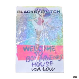 【 送料無料 】 作品「 BOY FRIENDS HOUSE - CHIHI LOW （チヒロウ）」BOY FRIENDS HOUSE  LiSA LOW  オリジナルアート 一点もの 原画・現代アート - ファン必見 アーティスト チヒロウの息づかいメッセージを感じる クリーマミモチーフ アニメ 作品 生産地 日本 作者 CHIHI LOW 2026年8月制作 鬼束ちひろ オリジナル コレクション インテリア おすすめ アブロイ ABROI