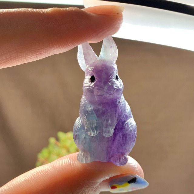 りんご大好きうさぎさん☆りんごがなる招財樹・ペリドット