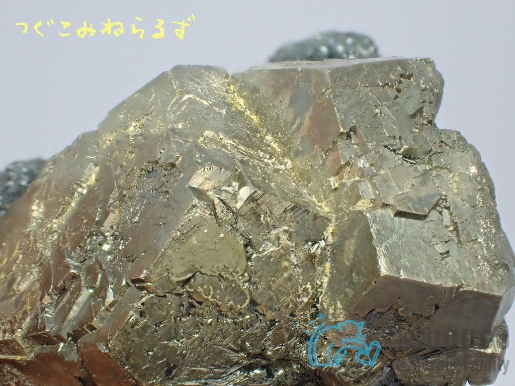 パイライト 黄鉄鉱 Pyrite イタリア TM-0042