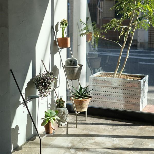 KNOP LADDER RACK 【TALL】ノップラダースタンド【植物 プランター
