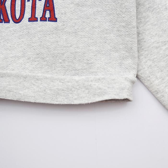 90s USA製 TULTEX ビッグプリントスウェット L グレー ビズマーク | fuufu