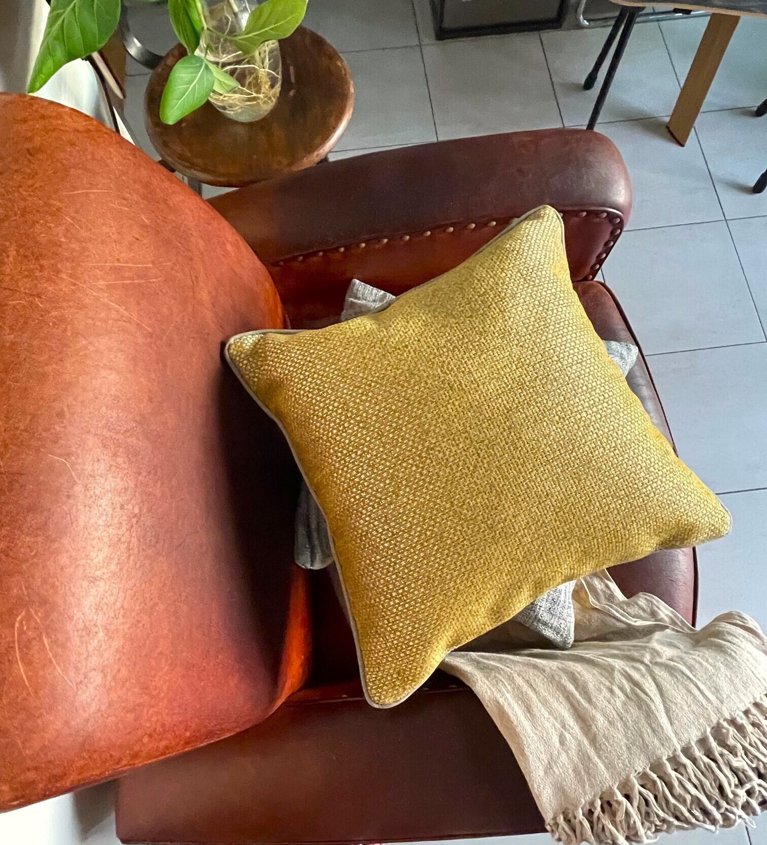 クッション Casanova クッション Casanova 【公式通販】