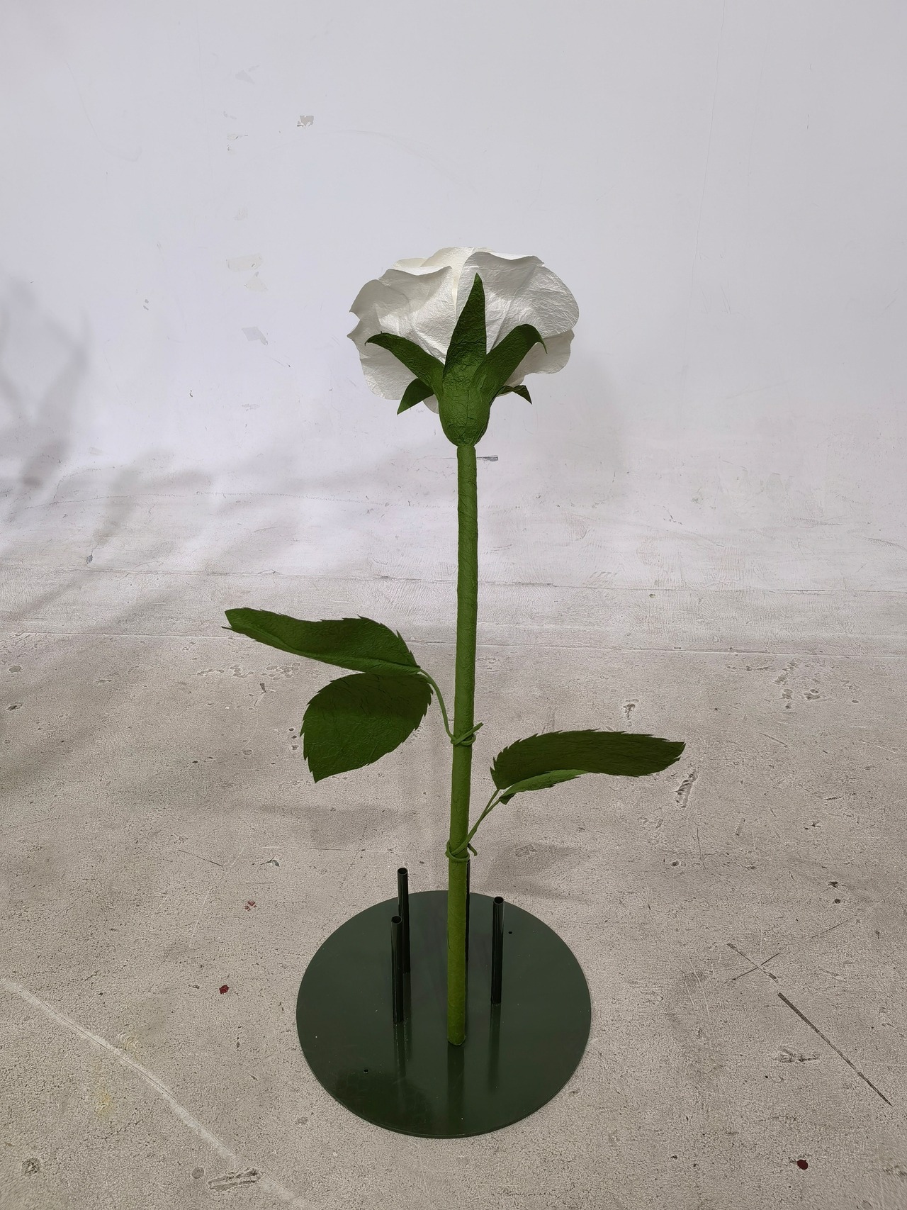 ペーパー ジャイアントフラワー バラ30cm ホワイト・ピンク