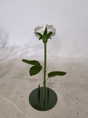 ペーパー ジャイアントフラワー バラ30cm ホワイト・ピンク