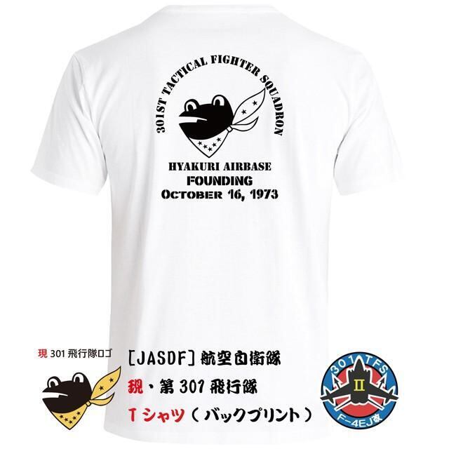 JASDF]航空自衛隊 第301飛行隊(カエルバックver5)(百里基地) 両面