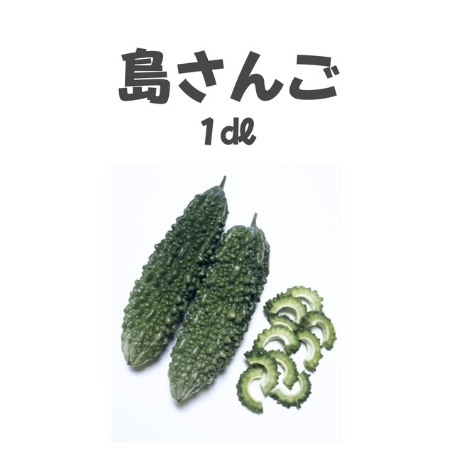 島さんご　ゴーヤ種子・1dl