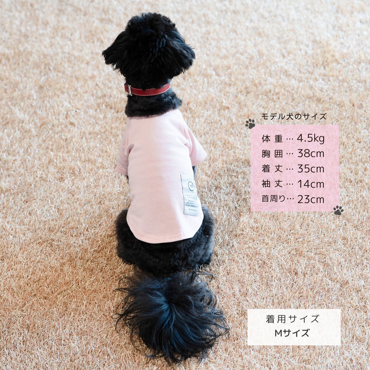 TOREOTTO DOG T（ブルー）