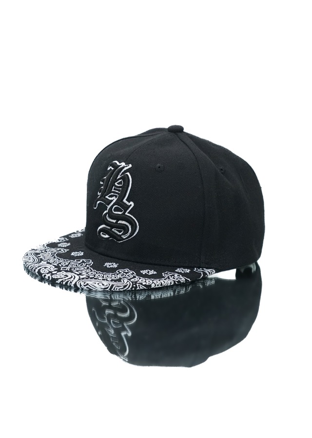 110.PAISLEY LOGO CAP