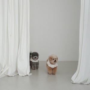 【予約】[ OHDIBS ] CAPENESS leash｜NO.20 _MINI DOT
