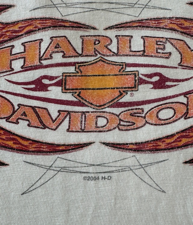 -Harley Davidson- Vintage 00s Long Sleeve Print T-shirt
