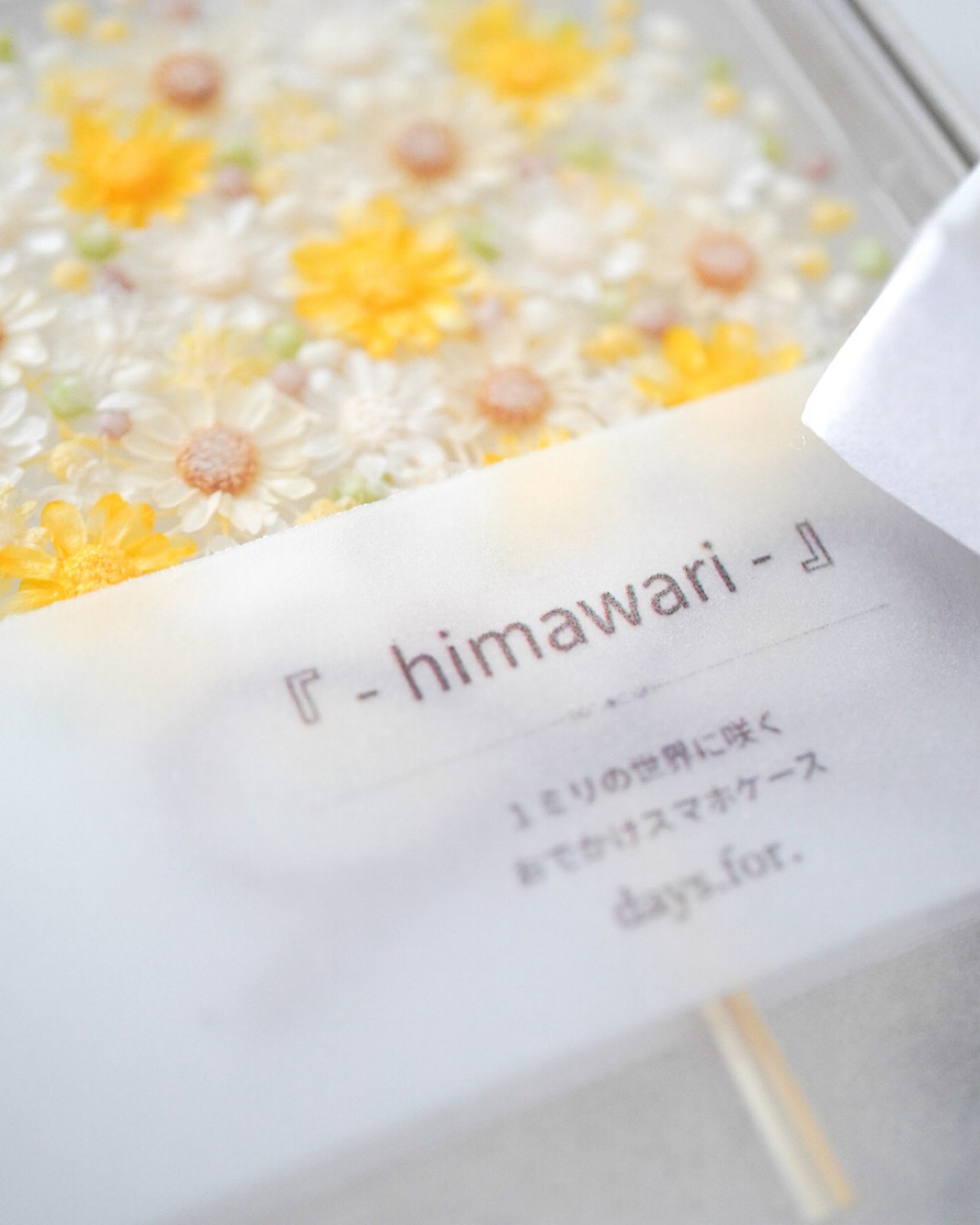 公式LINE限定『 - himawari - 』
