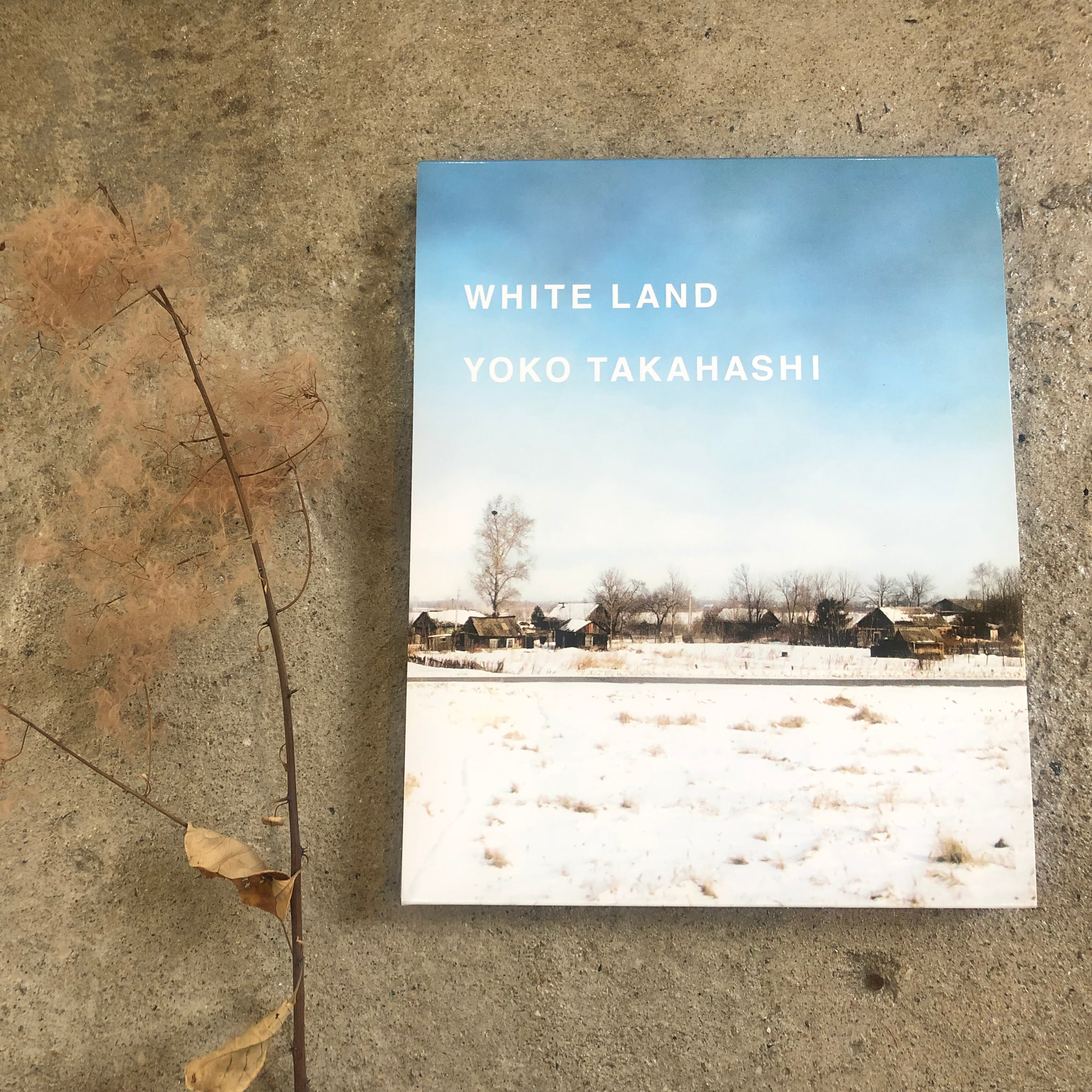 【希少】高橋ヨーコ 写真集　WHITE LAND
