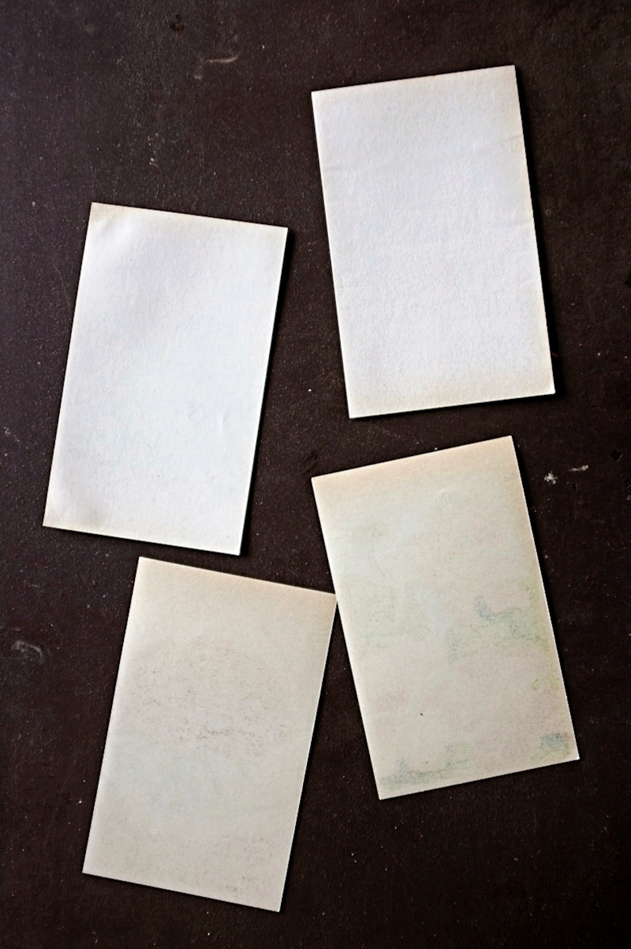 20s フランス 4set 膨満な花々と野菜たち 種子袋用ラベルe アンティーク