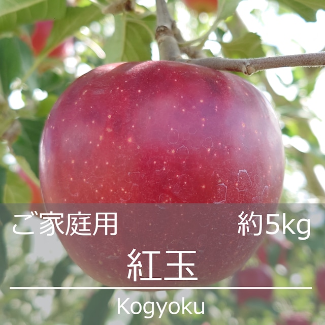 紅玉 (こうぎょく) ご家庭用 約5kg